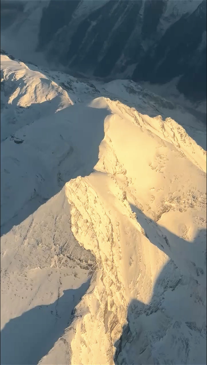 Grün Marc Jordi Fischer